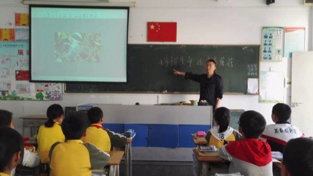 4b.jpg