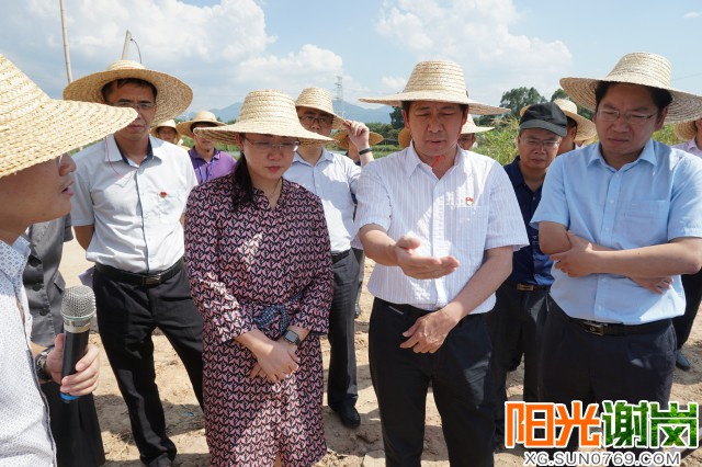 T:\u9633光谢岗上传月9有水印图片640-360 (2).jpg