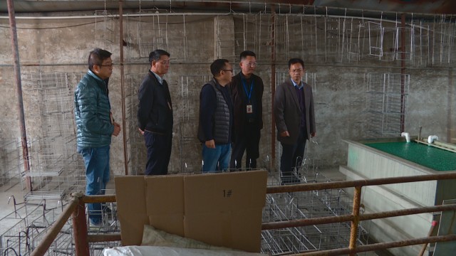 1206突击检查曹乐一涉水企业_2019-12-06_15-09-23.jpg