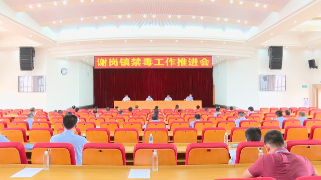 0519我镇召开禁毒工作推进会_2020-05-19_17-02-24.jpg