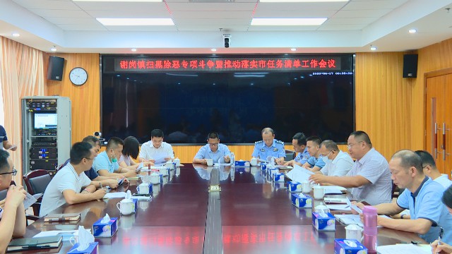 0617扫黑除恶专项斗争工作会_2020-06-17_16-08-06.jpg