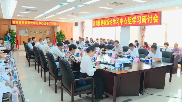 1105镇党委主题学习研讨会_2020-11-05_16-15-36.jpg