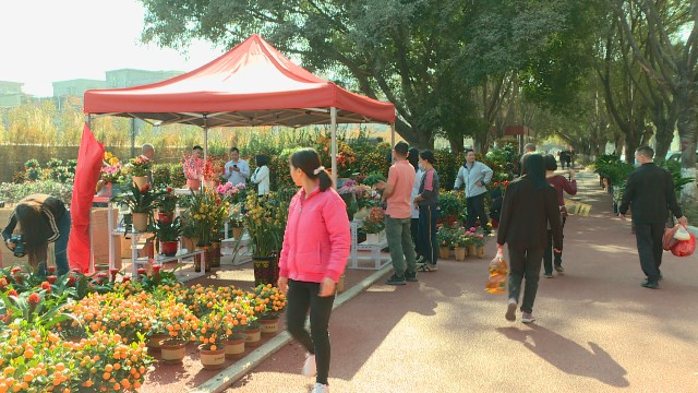0208年花市场_2021-02-09_09-50-28.jpg